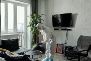 Pest Control 