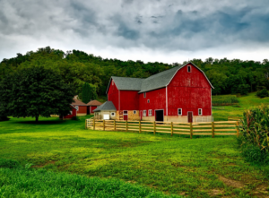 farm