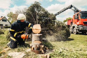 cutting stump