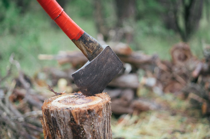 axe and stump
